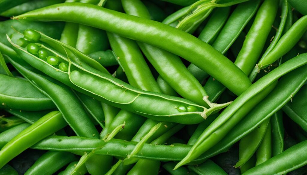 verdant green beans